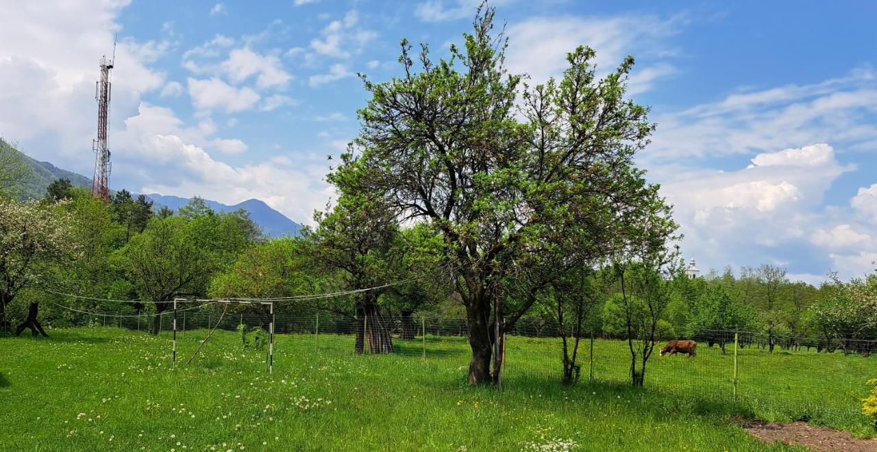 Villa Katharina Bran Bran  Esterno foto